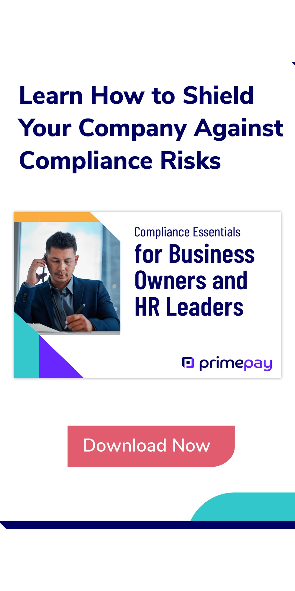 PrimePay_display ads-Compliance eBook-promo